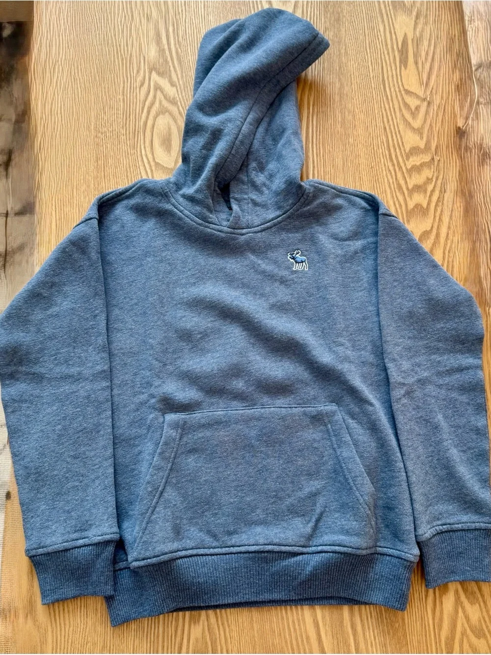 Abercrombie & Fitch Boys Blue Hooded Sweatshirt - Cozy Pullover